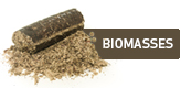 Biomasse